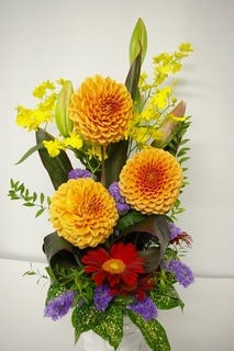 IMGP7590a.jpg